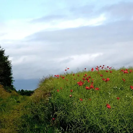 Holla - Huus Asgard Comfortable