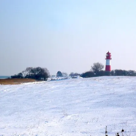 Holla - Huus Asgard Comfortable Dom wakacyjny